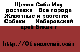 Щенки Сиба Ину доставка - Все города Животные и растения » Собаки   . Хабаровский край,Бикин г.